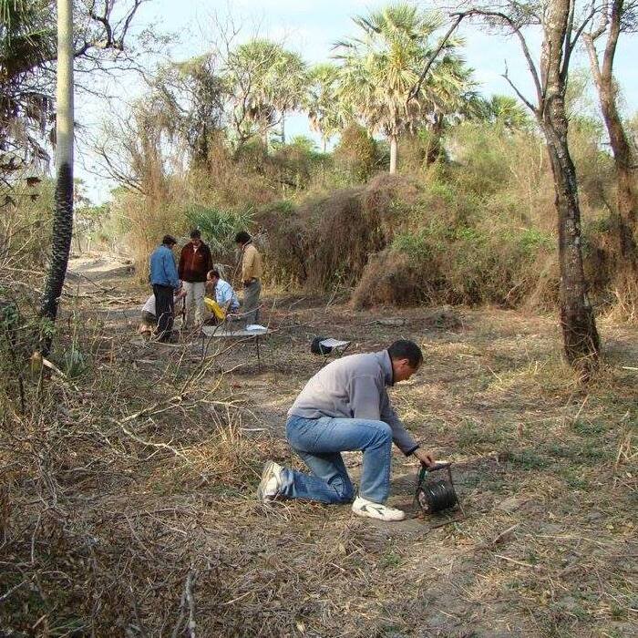 manguera tirando agua